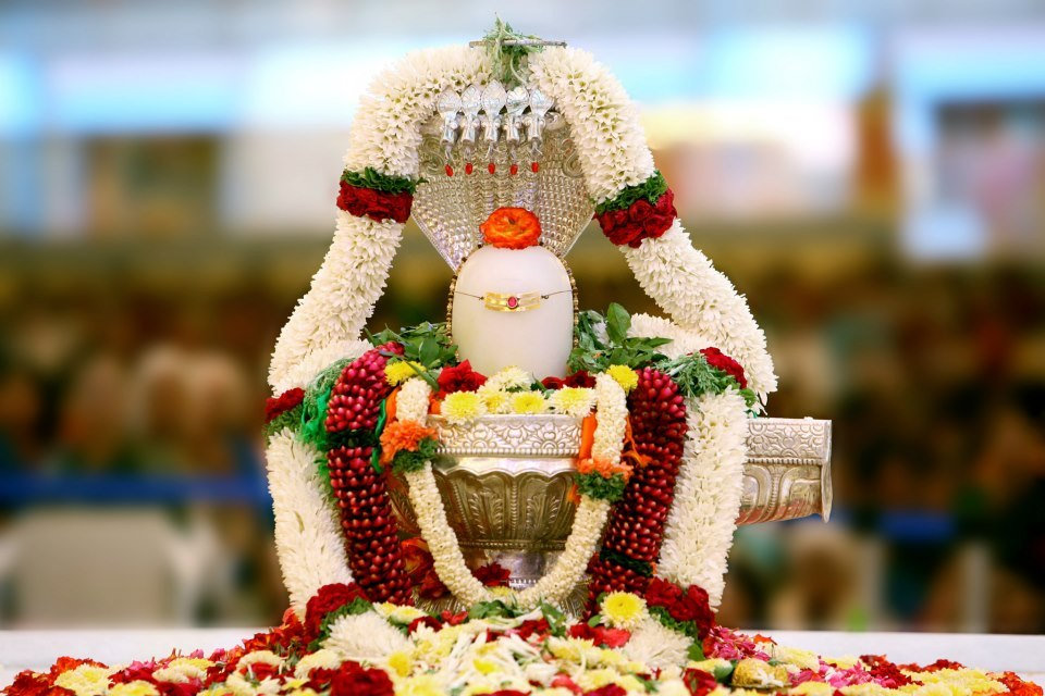Rudrabhishek Pooja